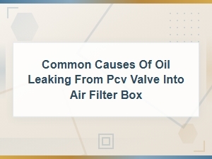 Common Causes of Oil Leaking From Pcv Valve Into Air Filter Box