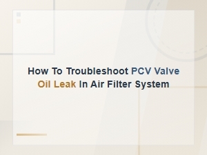 Common Causes of Pcv Valve Oil Leaks in the Air Filter System