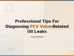 Diagnosing Pcv Valve Oil Leaks: Professional Tips and Common Causes