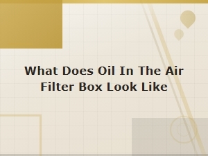 What Does Oil in the Air Filter Box Look Like? Signs to Watch for